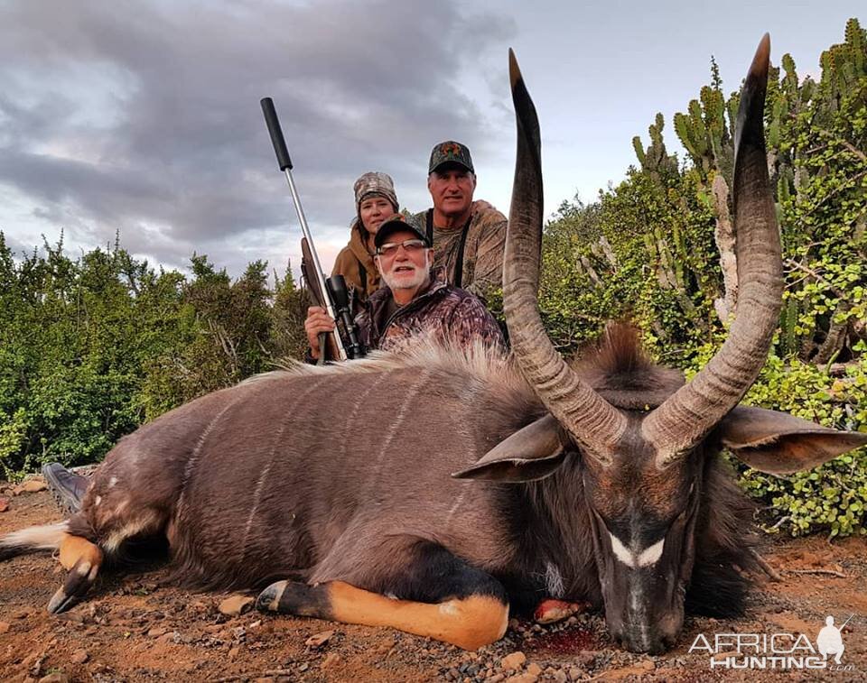 South Africa Hunting Nyala