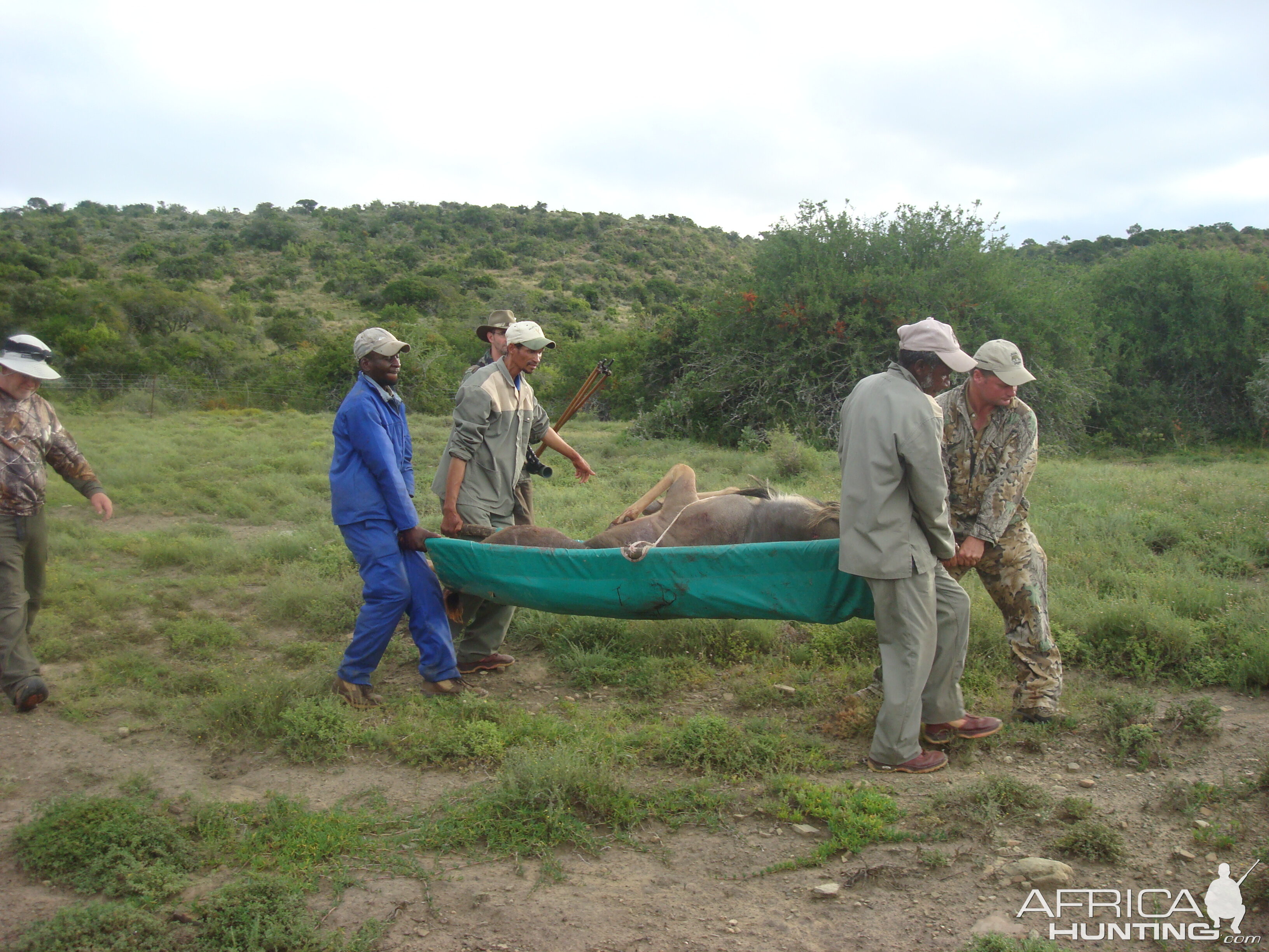 South Africa Hunting Nyala