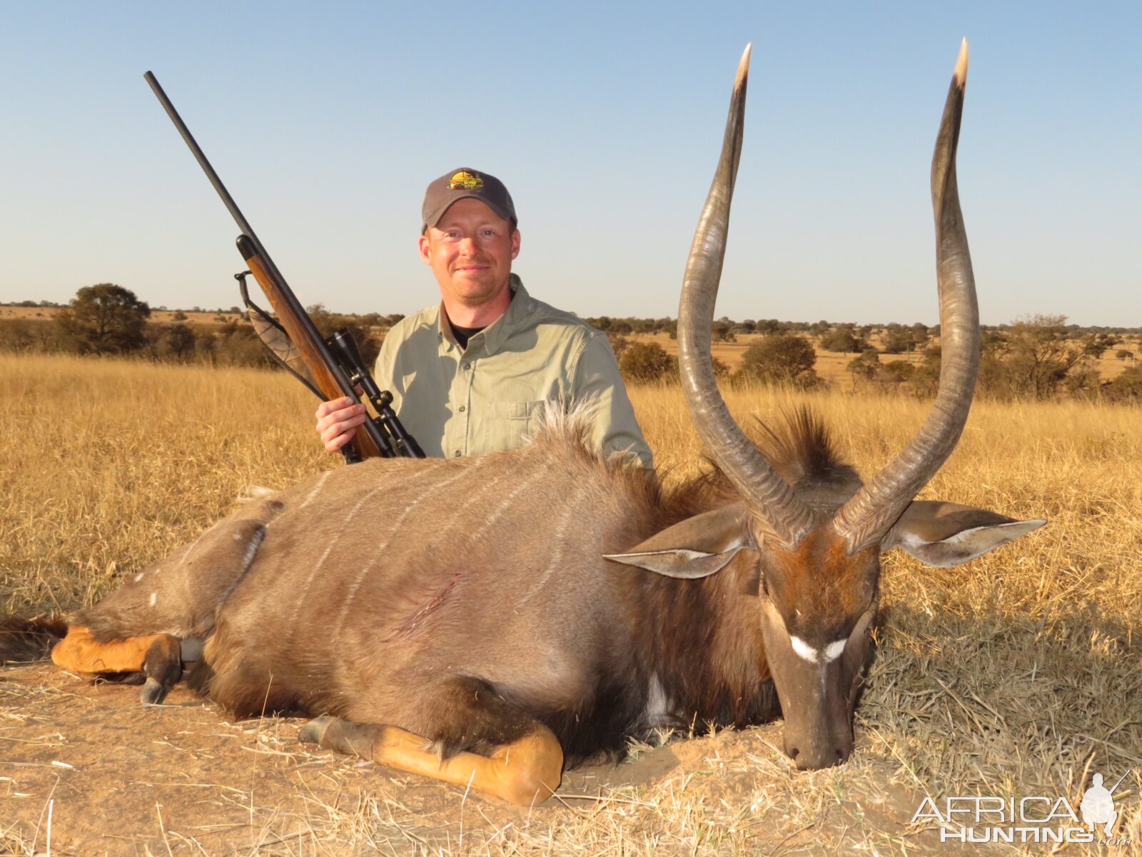 South Africa Hunting Nyala