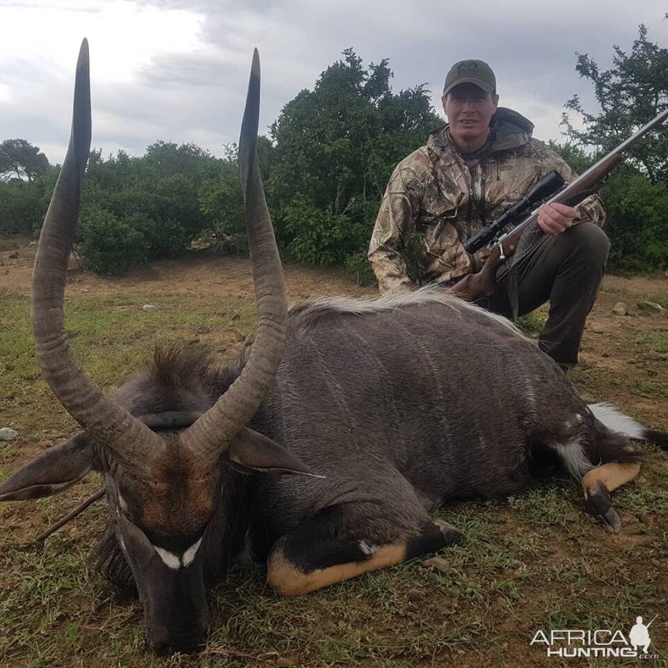 South Africa Hunting Nyala