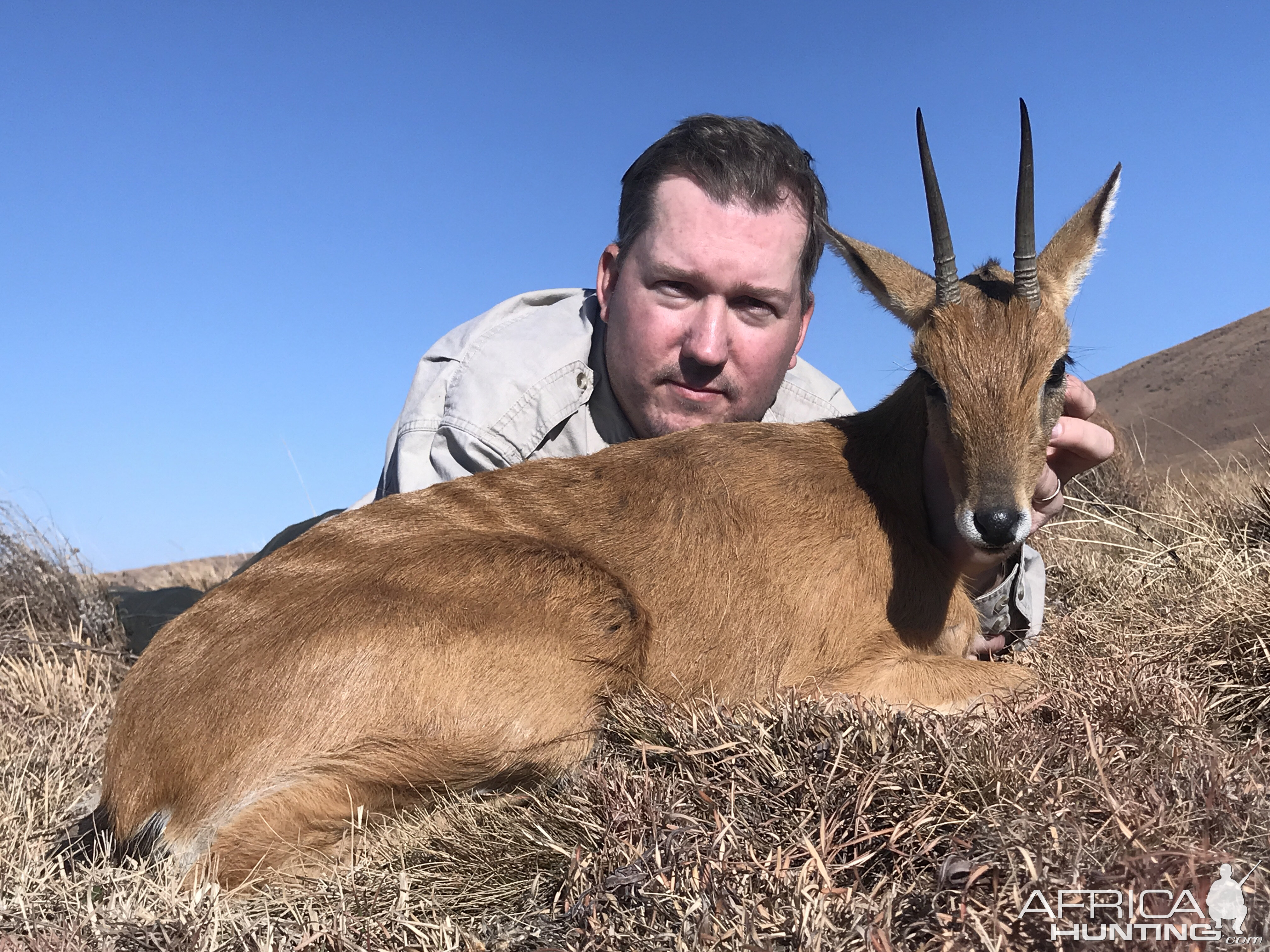 South Africa Hunting Oribi