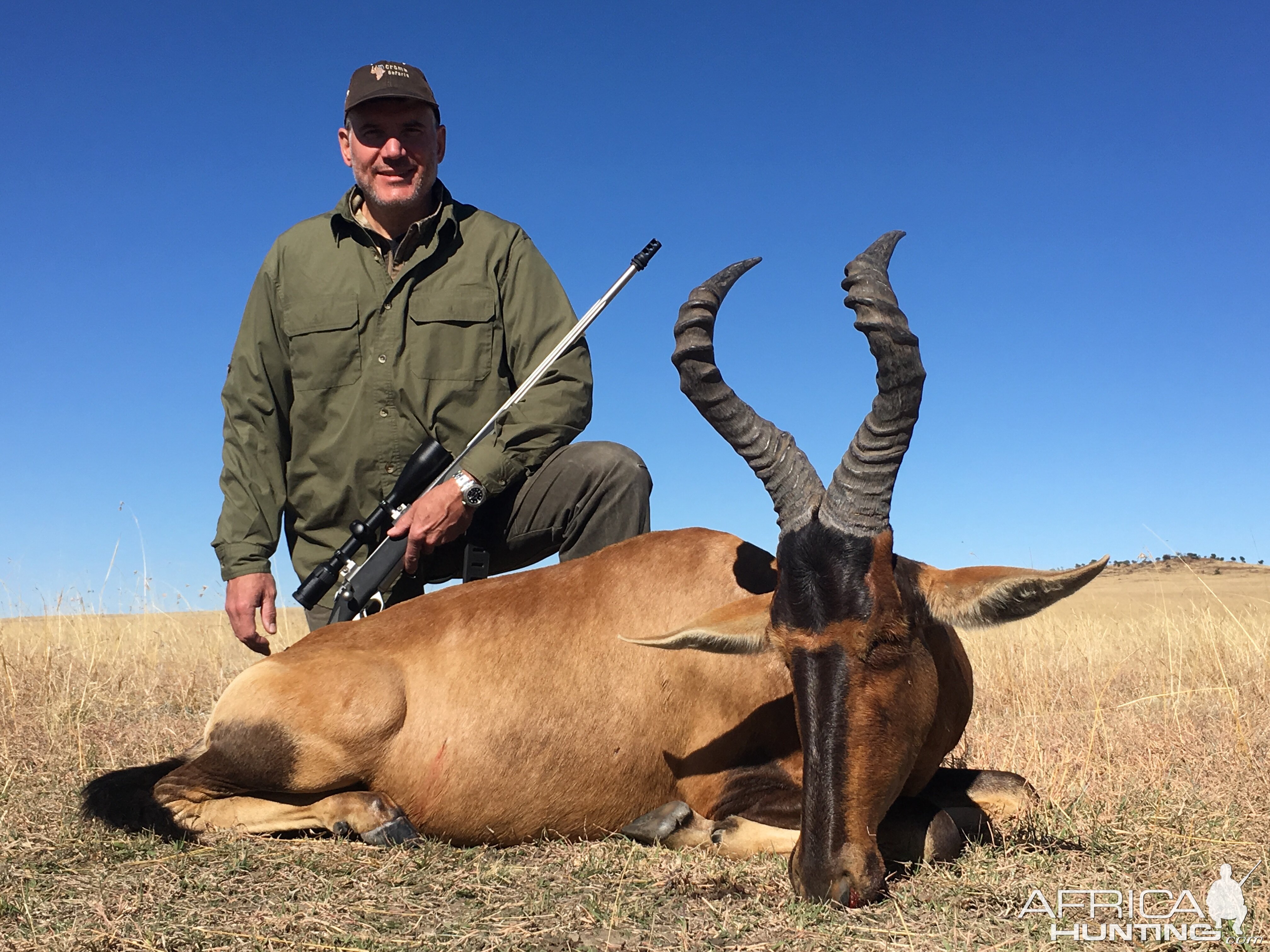 South Africa Hunting Red Hartebeest