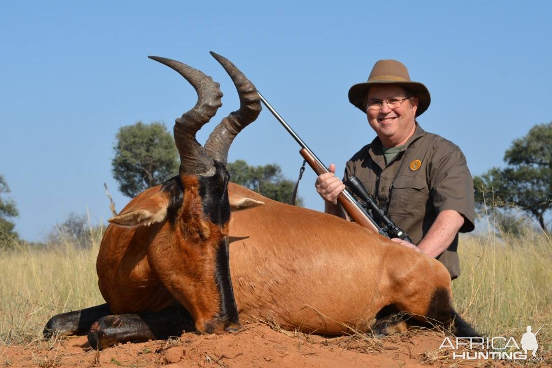 South Africa Hunting Red Hartebeest