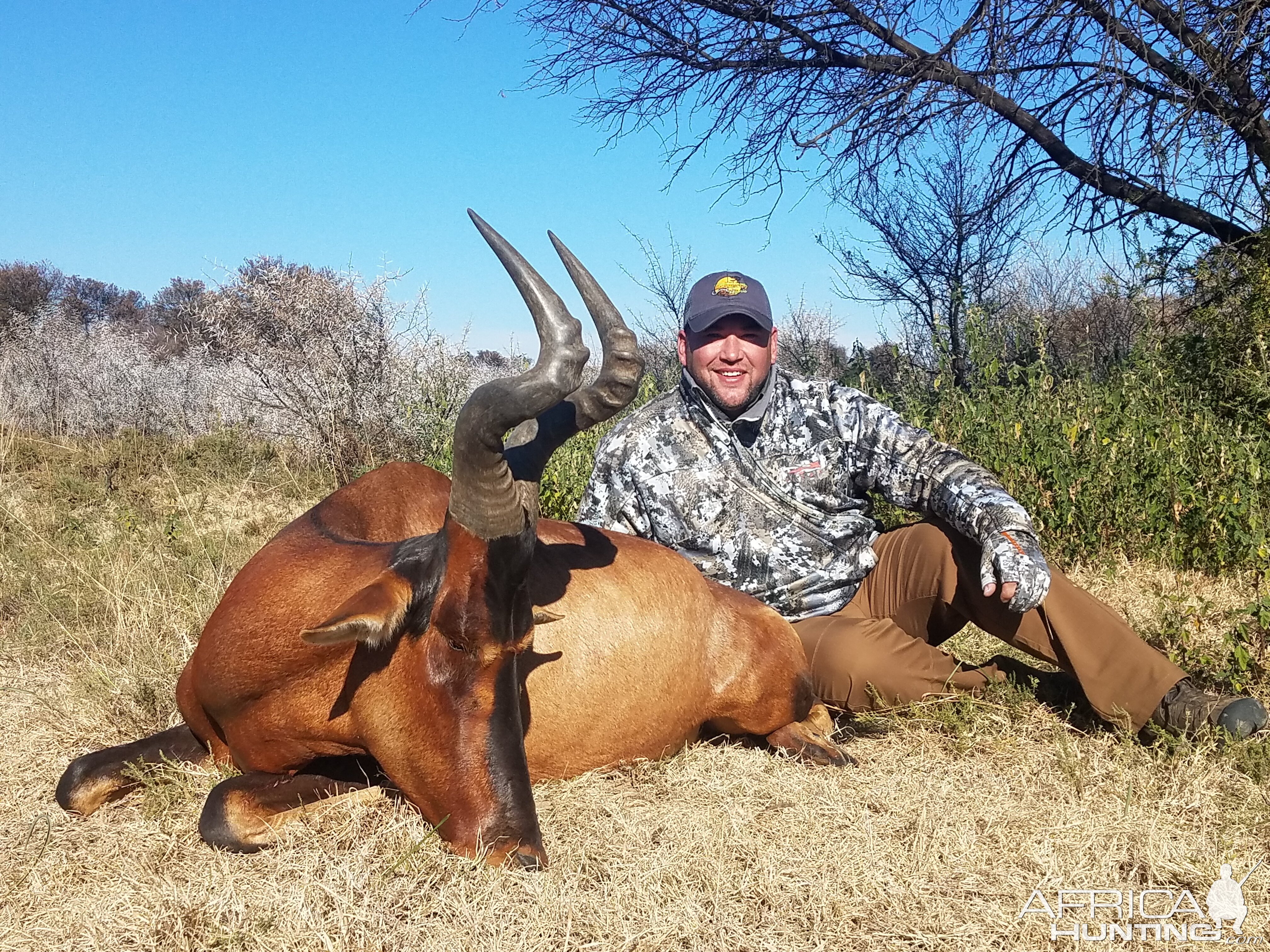 South Africa Hunting Red Hartebeest