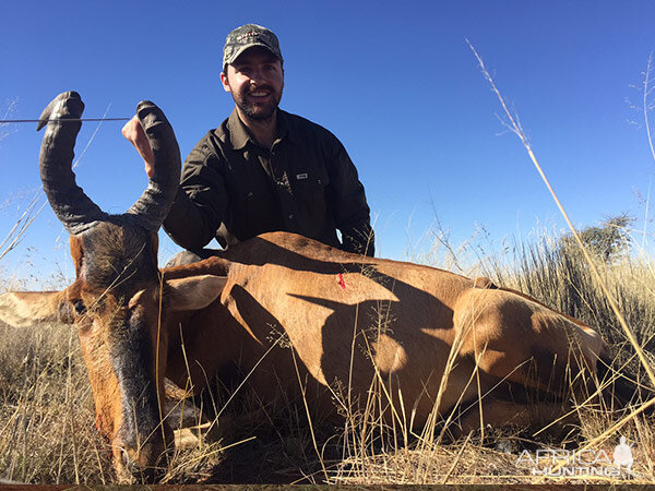 South Africa Hunting Red Hartebeest