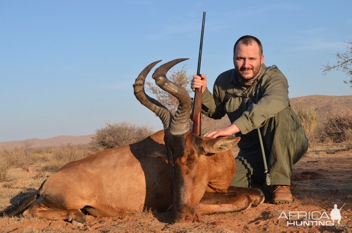 South Africa Hunting Red Hartebeest