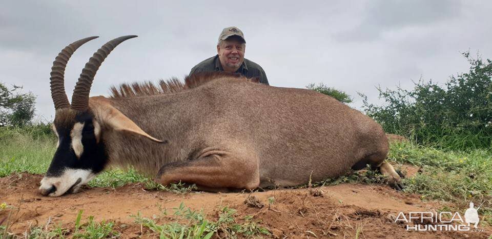 South Africa Hunting Roan