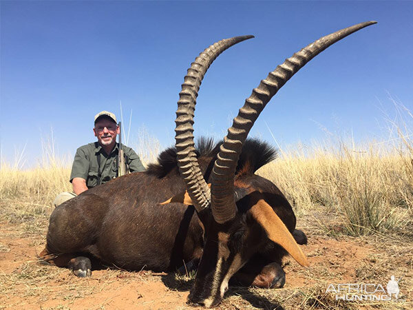 South Africa Hunting Sable Antelope