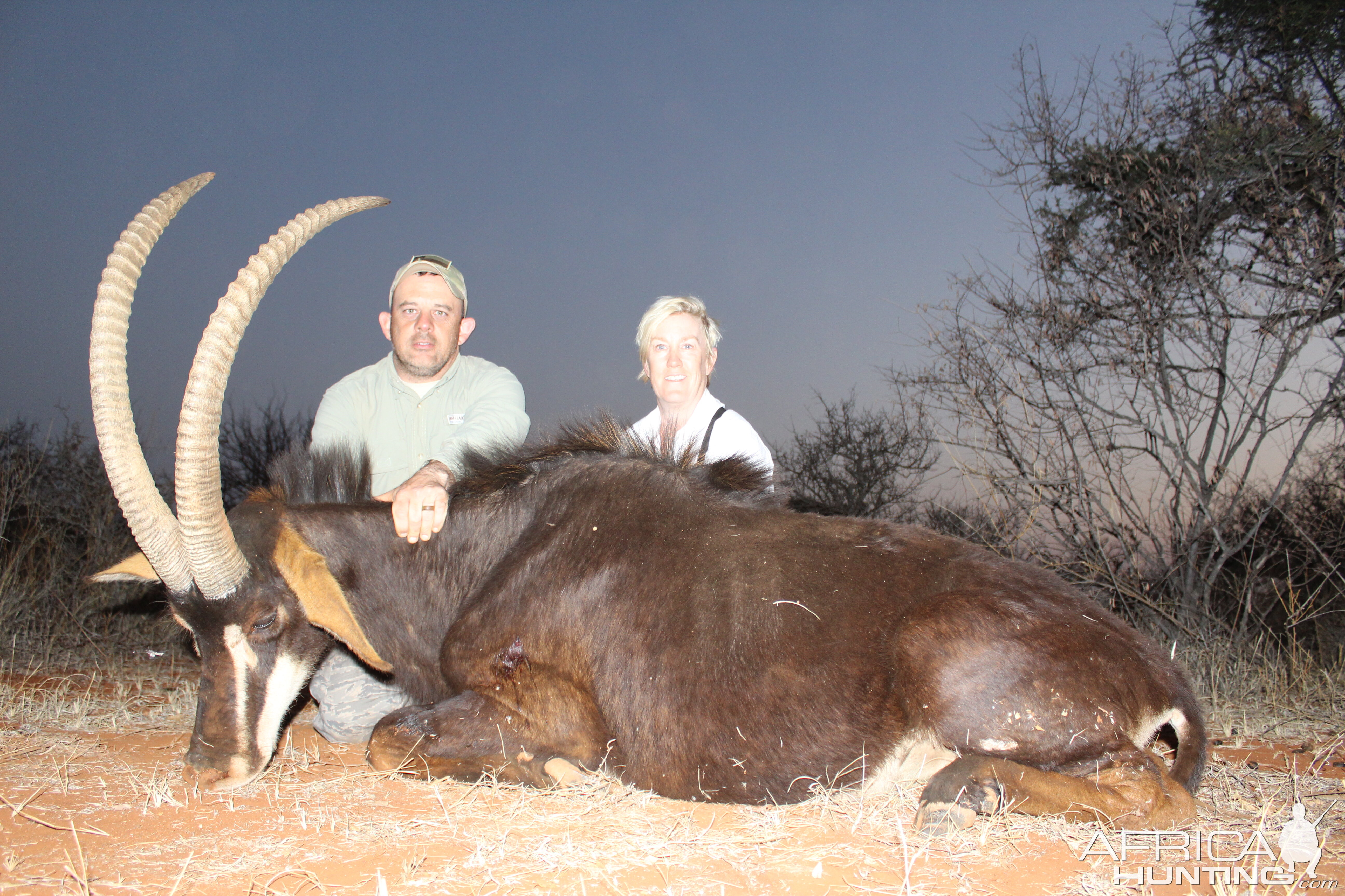 South Africa Hunting Sable