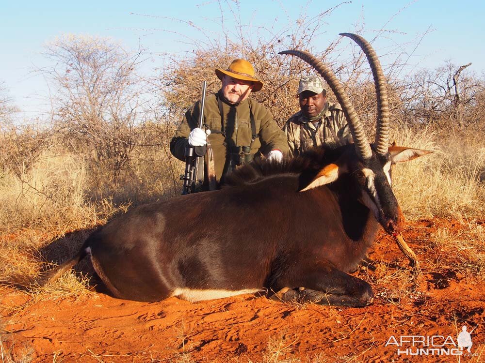 South Africa Hunting Sable