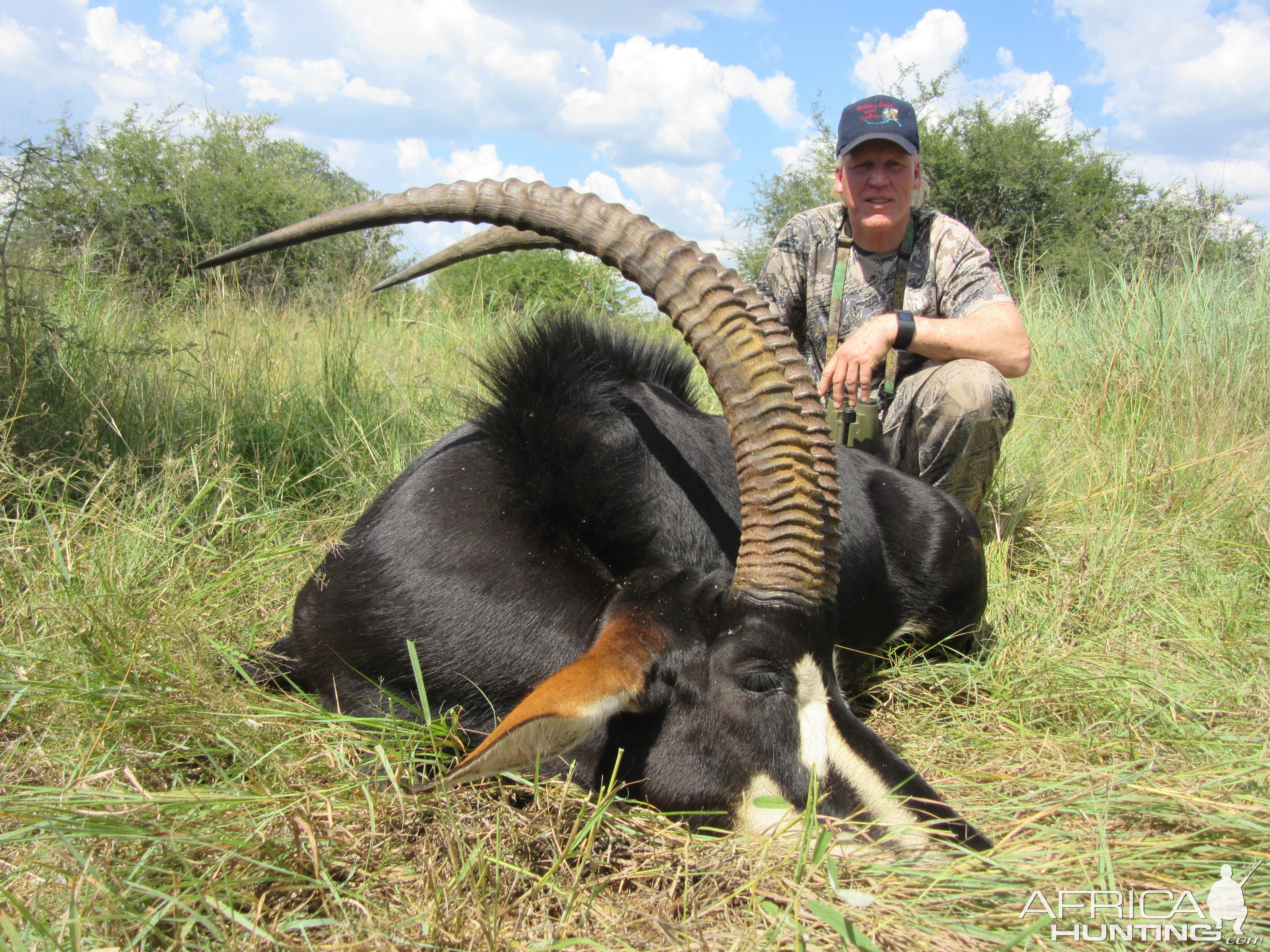 South Africa Hunting Sable