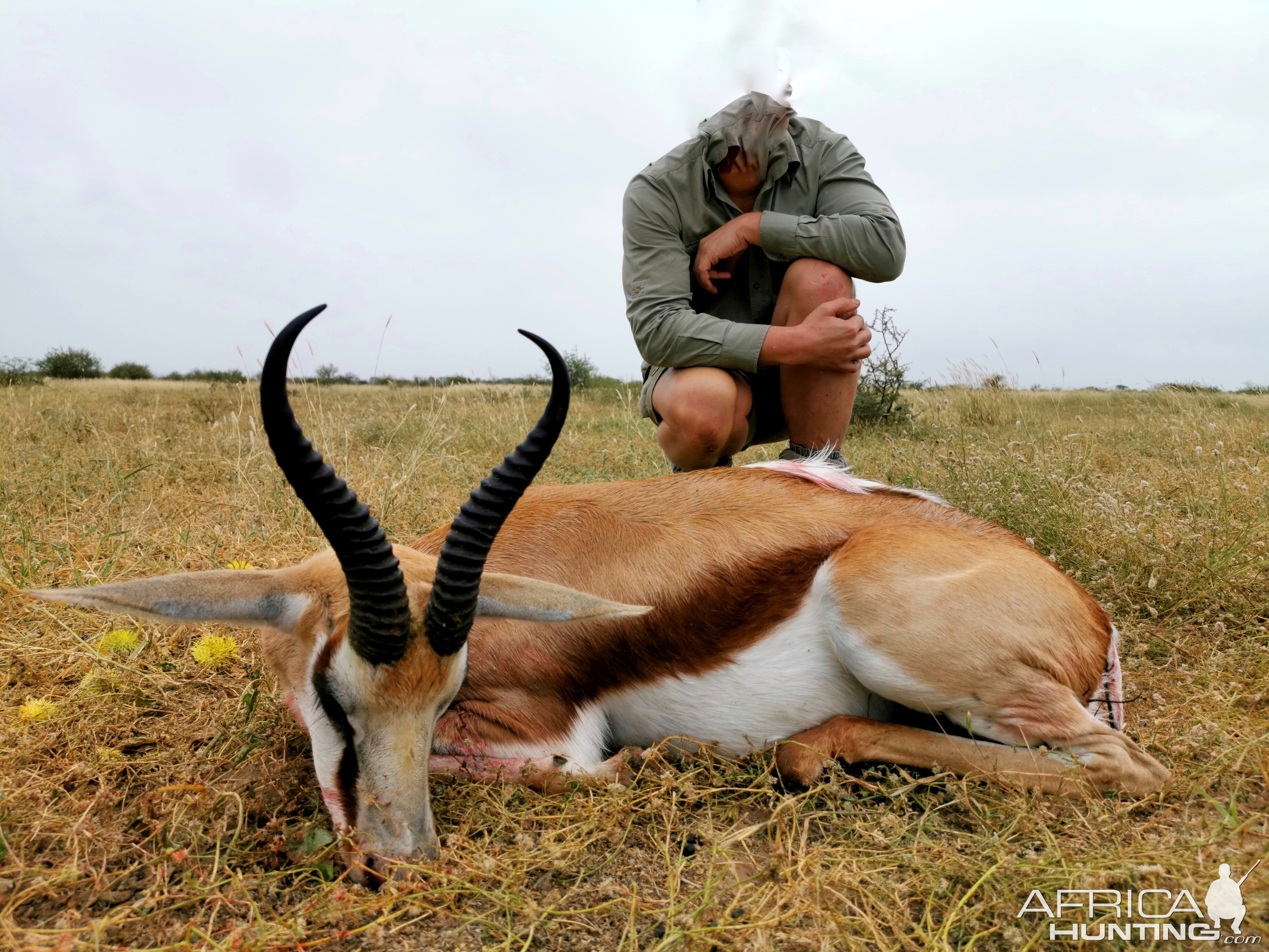 South Africa Hunting Springbok