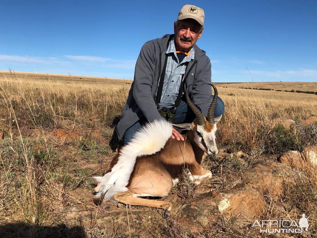 South Africa Hunting Springbok