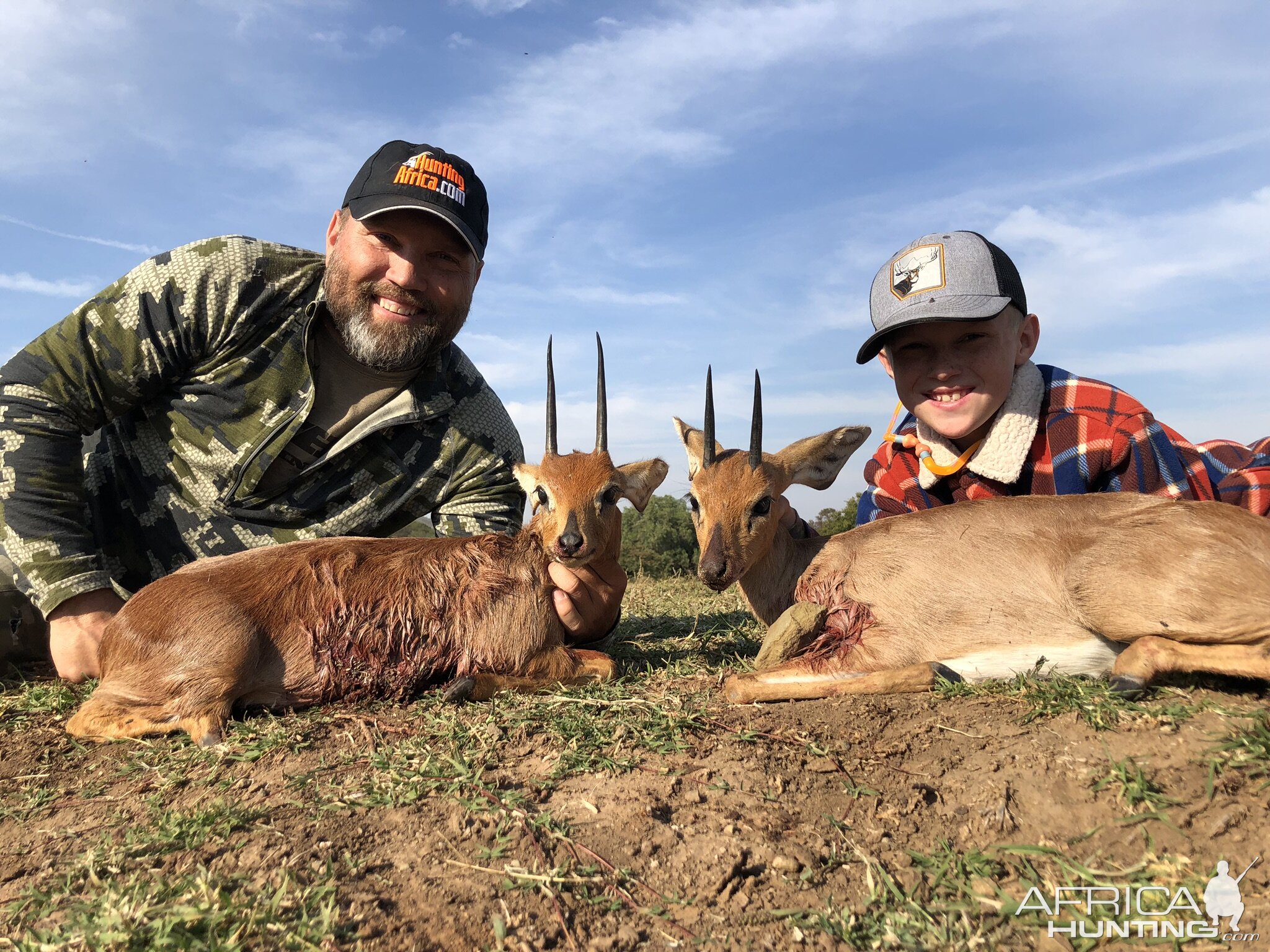 South Africa Hunting Steenbok