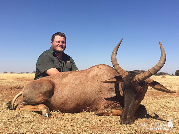 South Africa Hunting Tsessebe