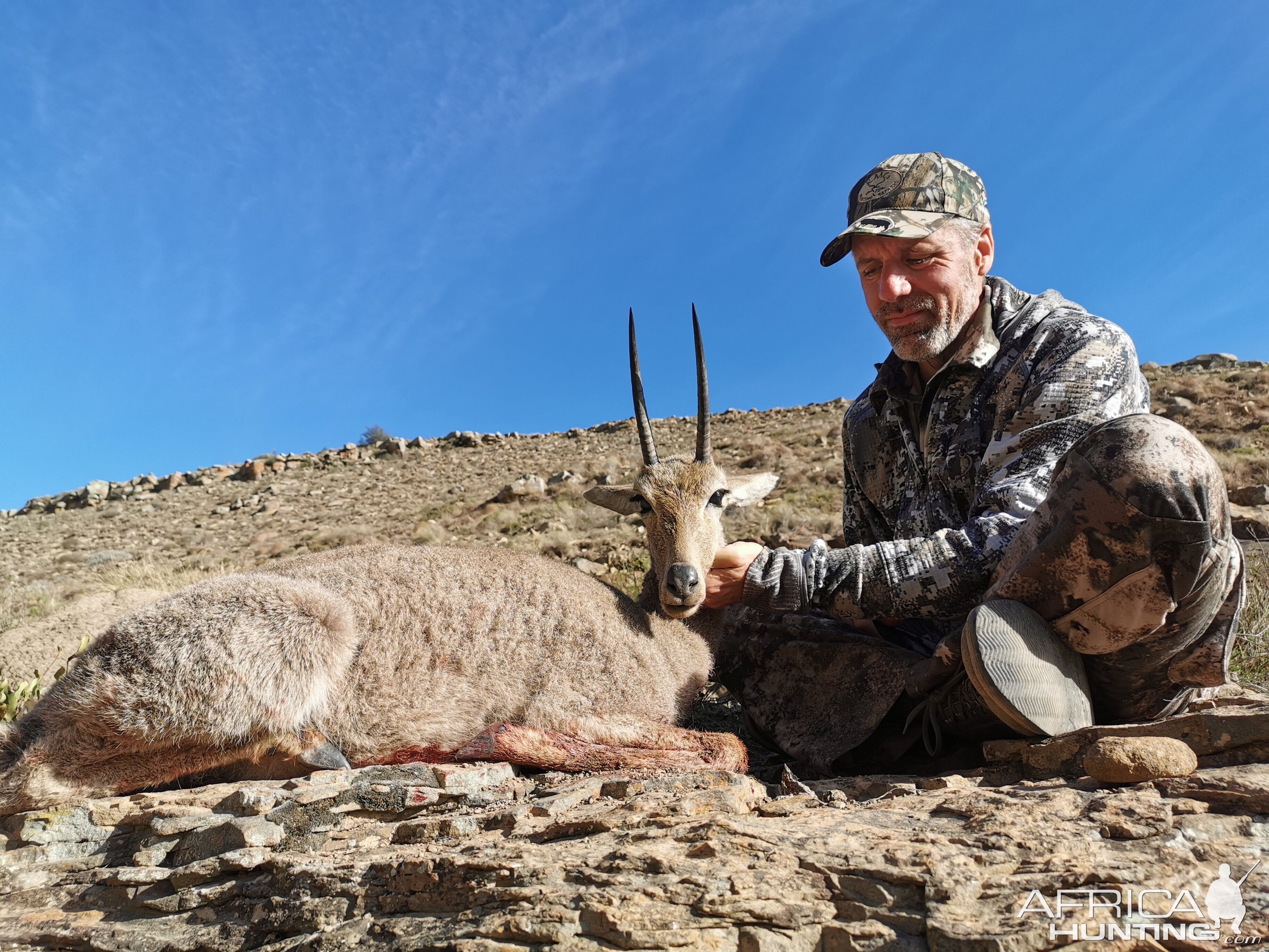 South Africa Hunting Vaal Rhebok