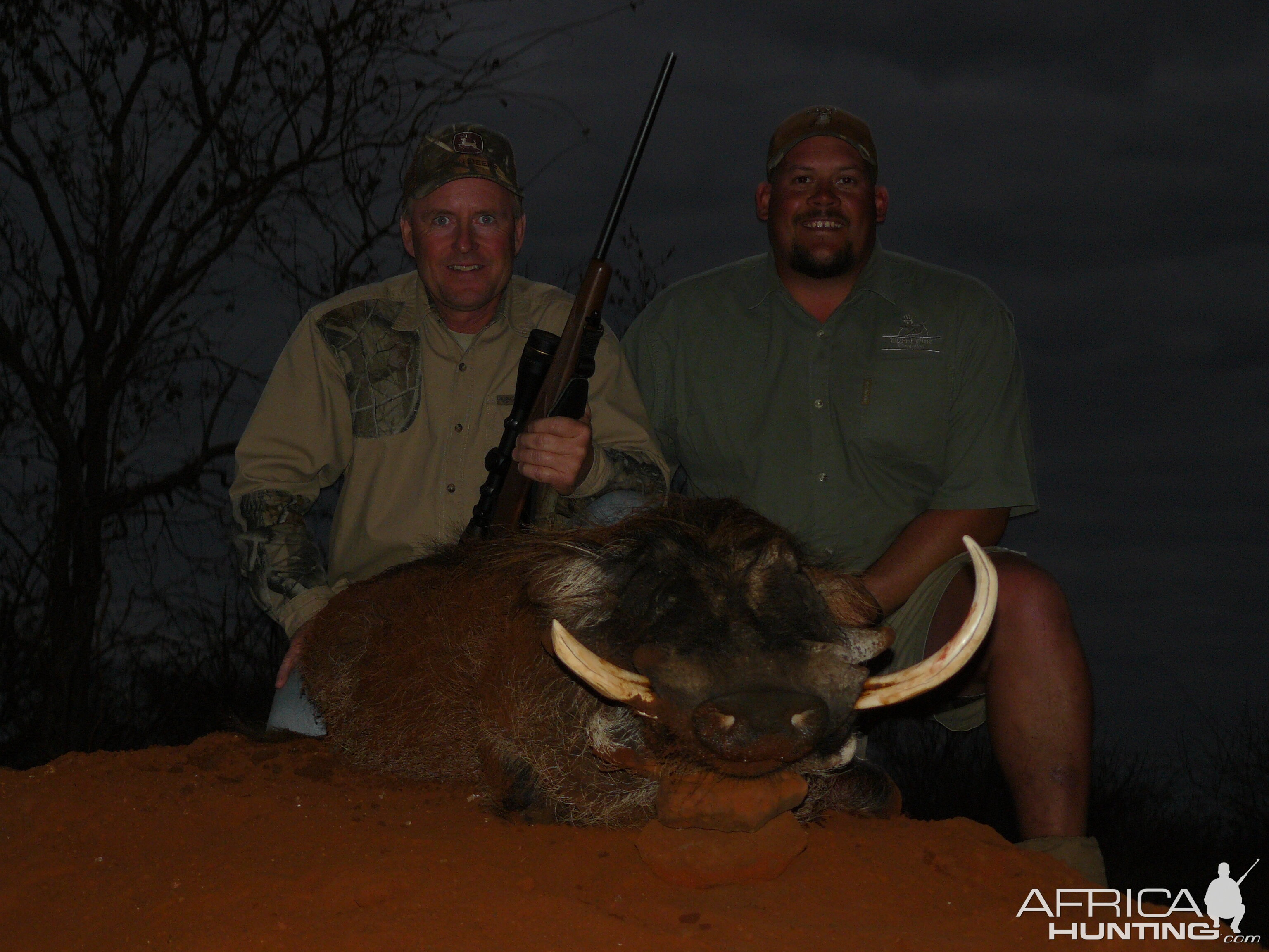 South Africa Hunting Warthog