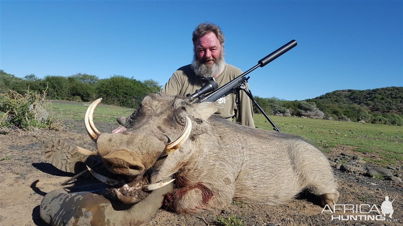 South Africa Hunting Warthog