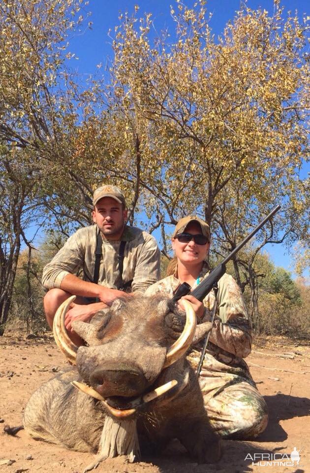 South Africa Hunting Warthog