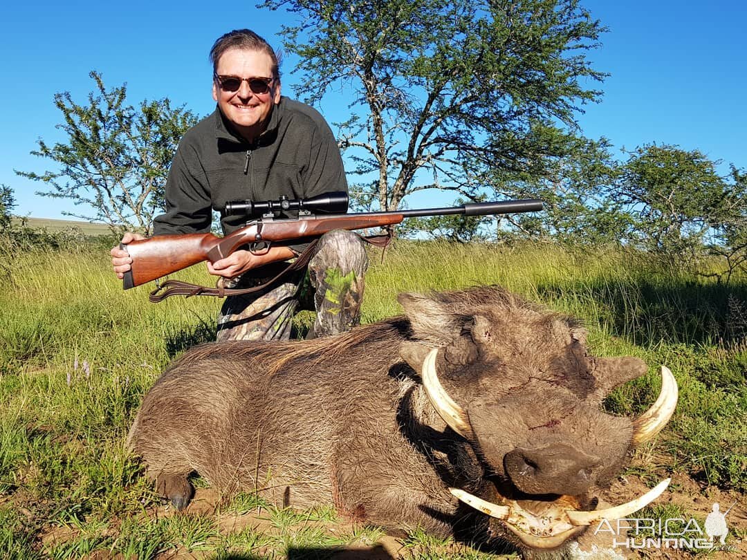 South Africa Hunting Warthog