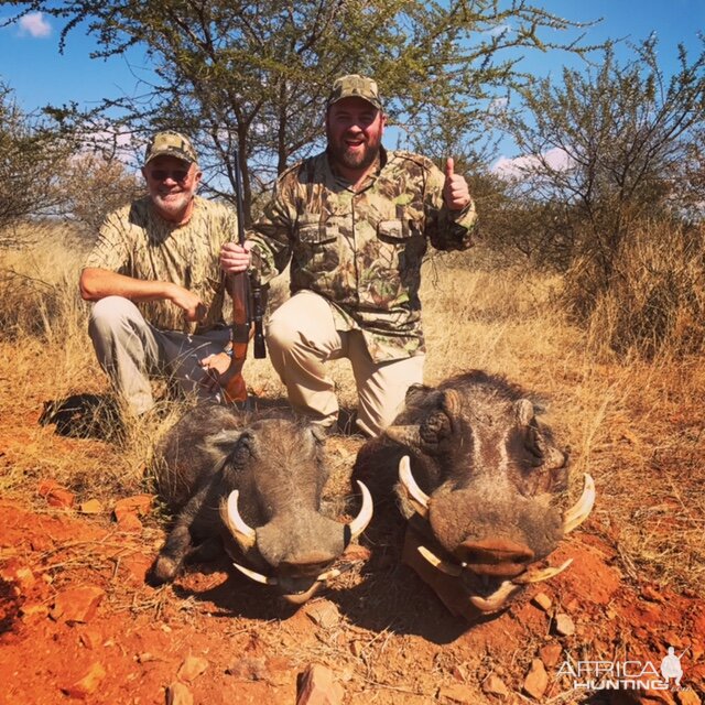 South Africa Hunting Warthog