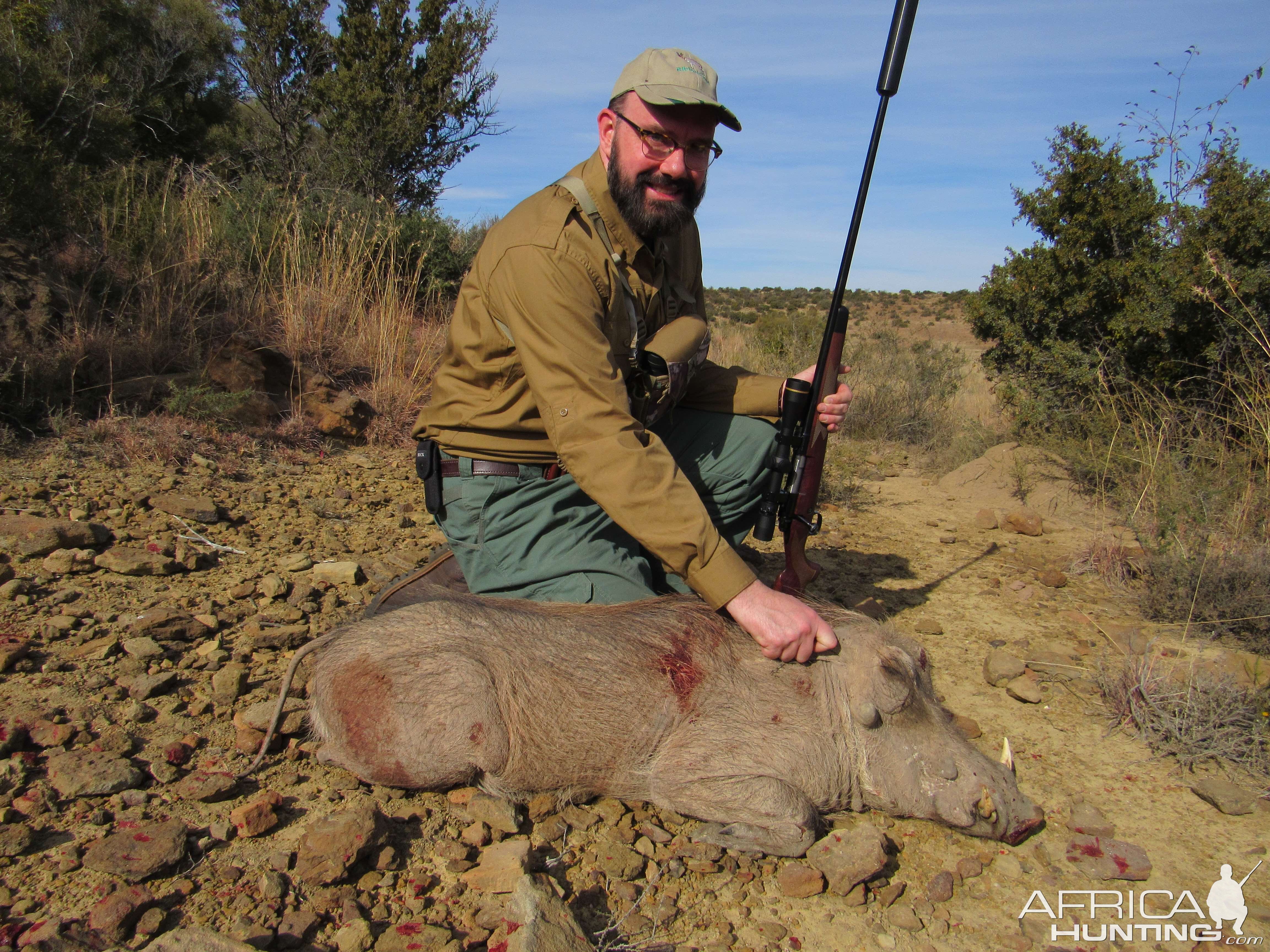 South Africa Hunting Warthog