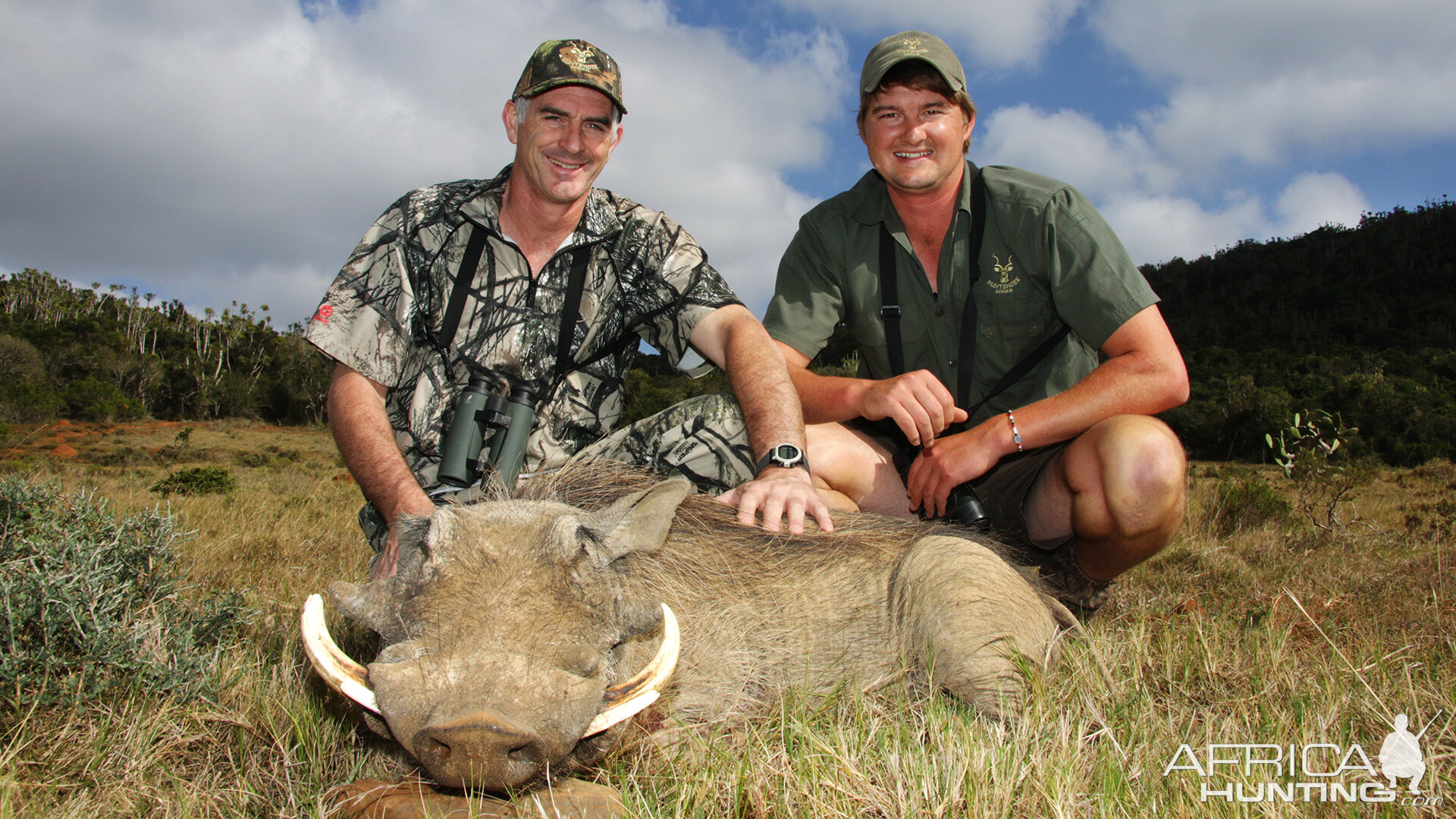 South Africa Hunting Warthog