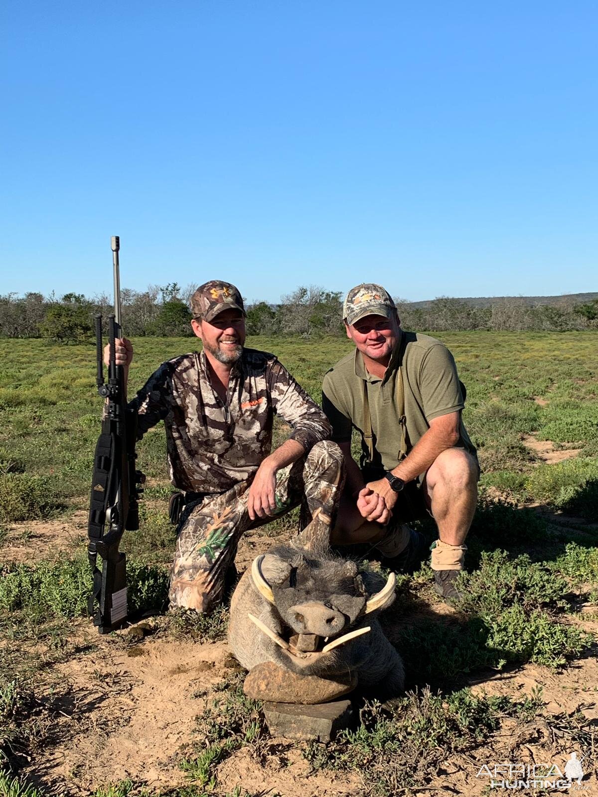 South Africa Hunting Warthog