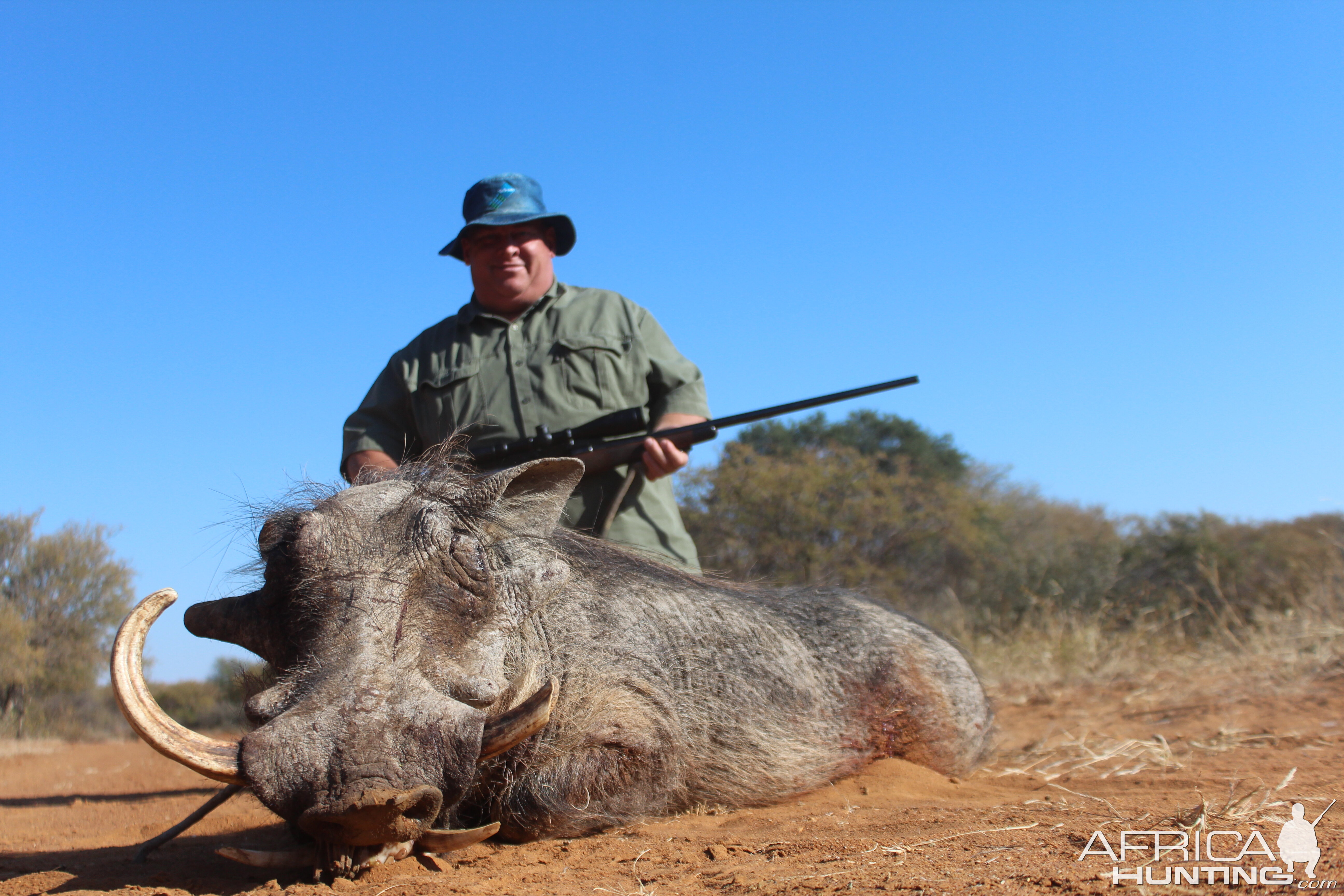 South Africa Hunting Warthog