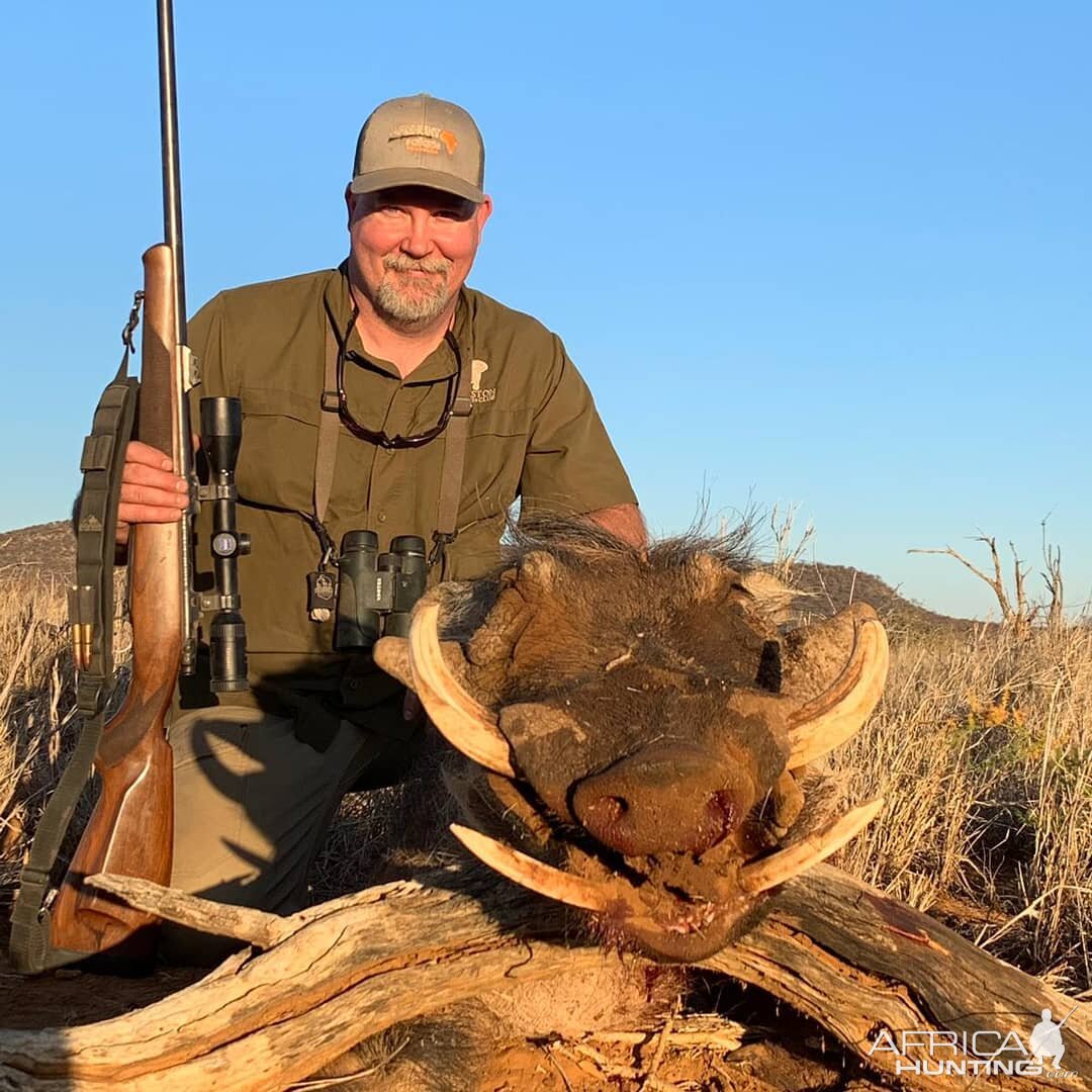 South Africa Hunting Warthog