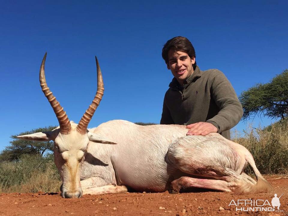 South Africa Hunting White Blesbok