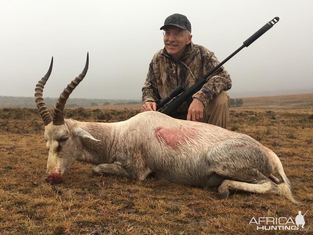 South Africa Hunting White Blesbok