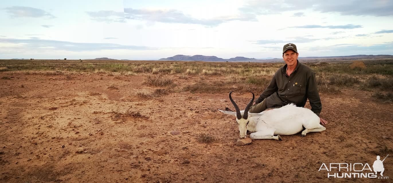 South Africa Hunting White Springbok