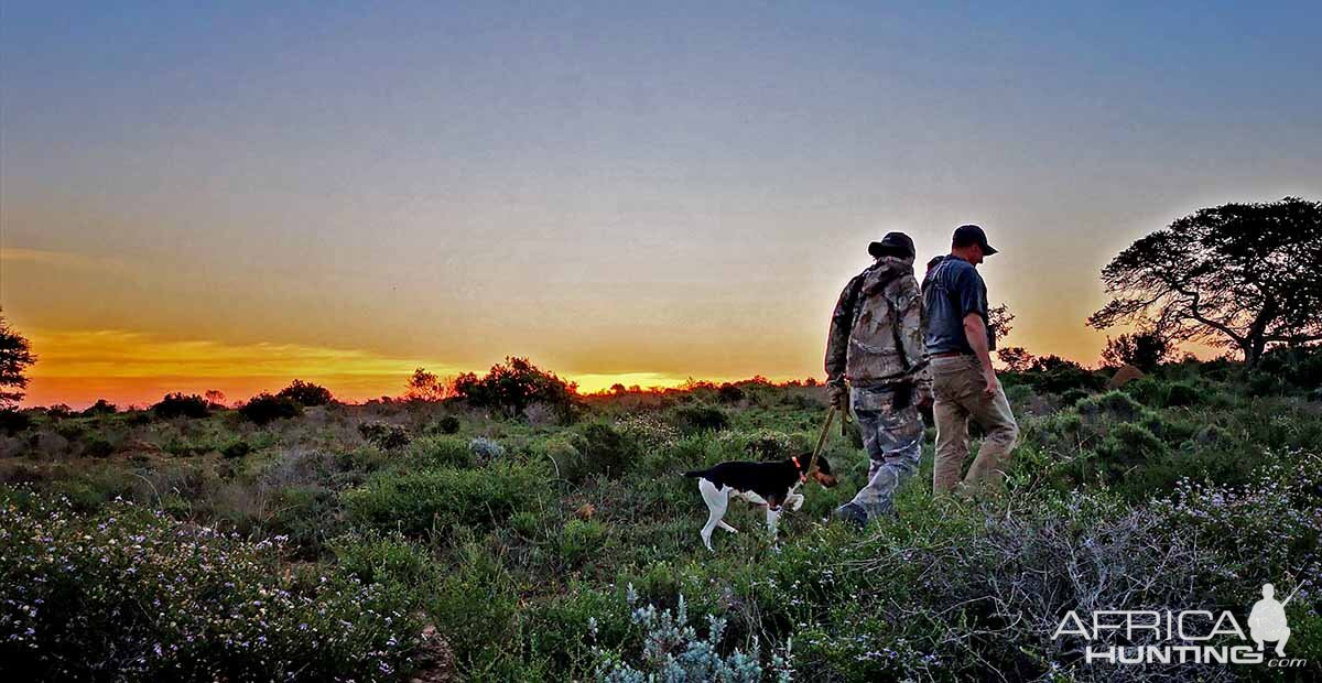 South Africa Hunting