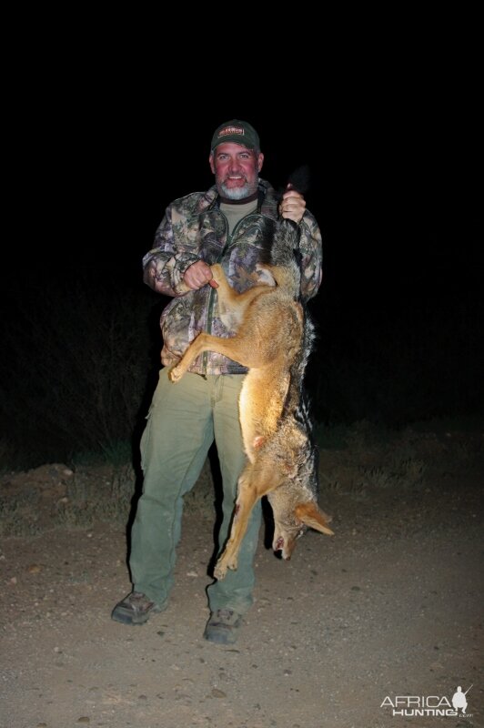 South Africa Jackal Hunting