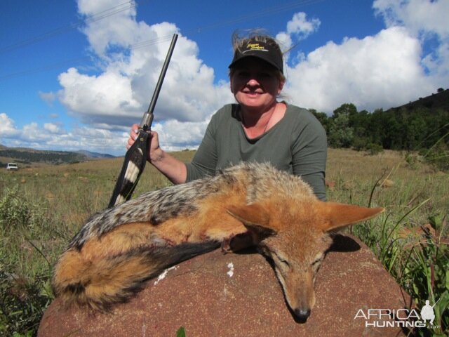 South Africa Jackal Hunting