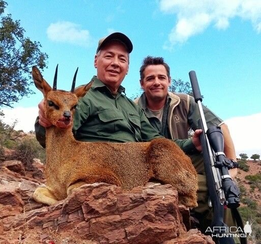 South Africa Klipspringer Hunting