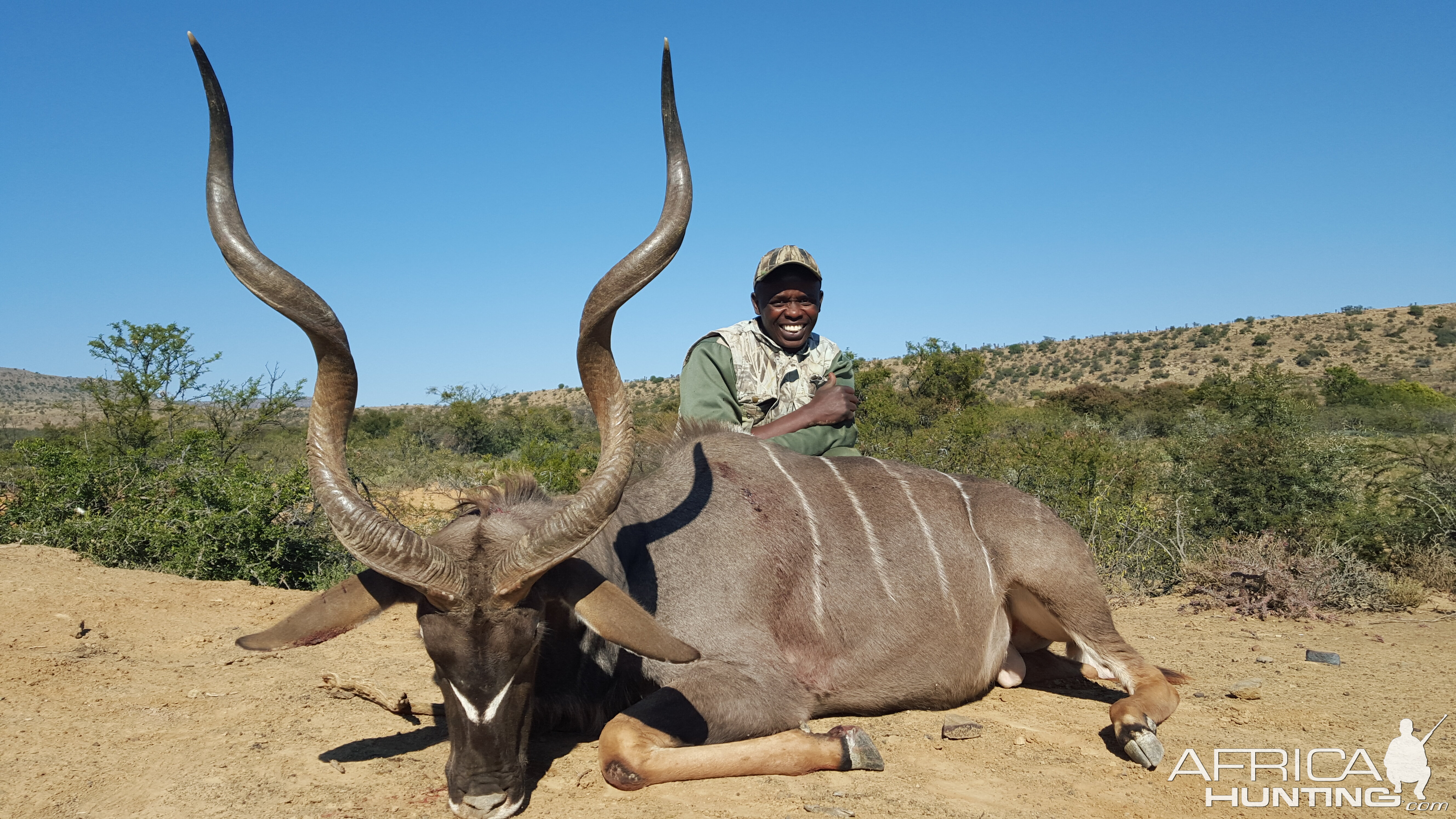 South Africa Kudu Hunting AfricaHunting Com   Full