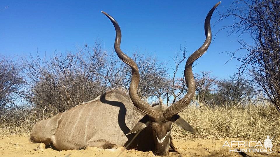 South Africa Kudu Hunting