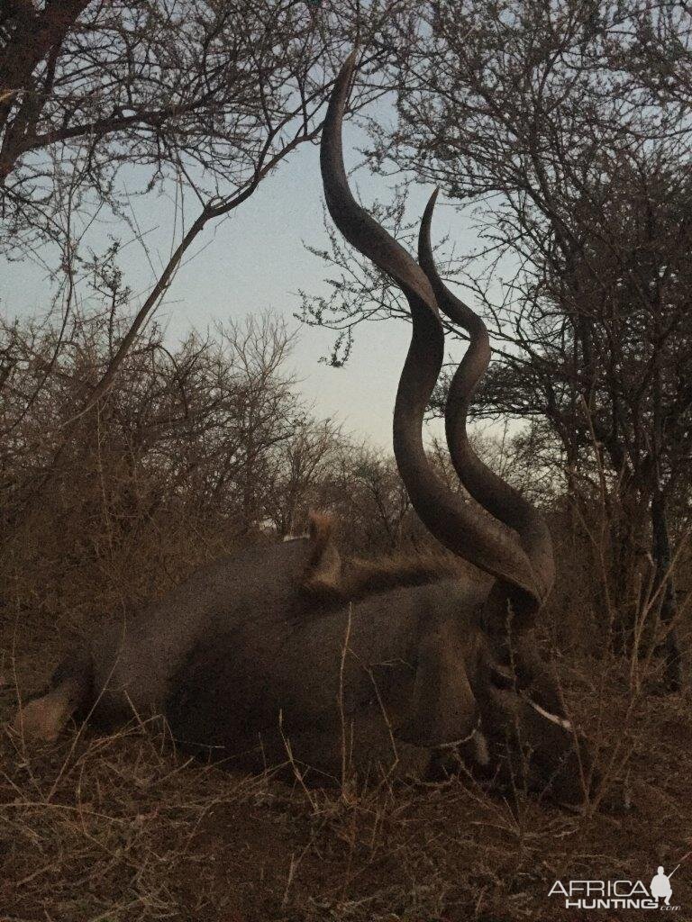 South Africa Kudu Hunting