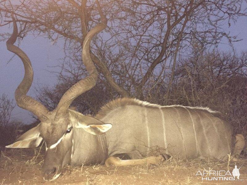 South Africa Kudu Hunting