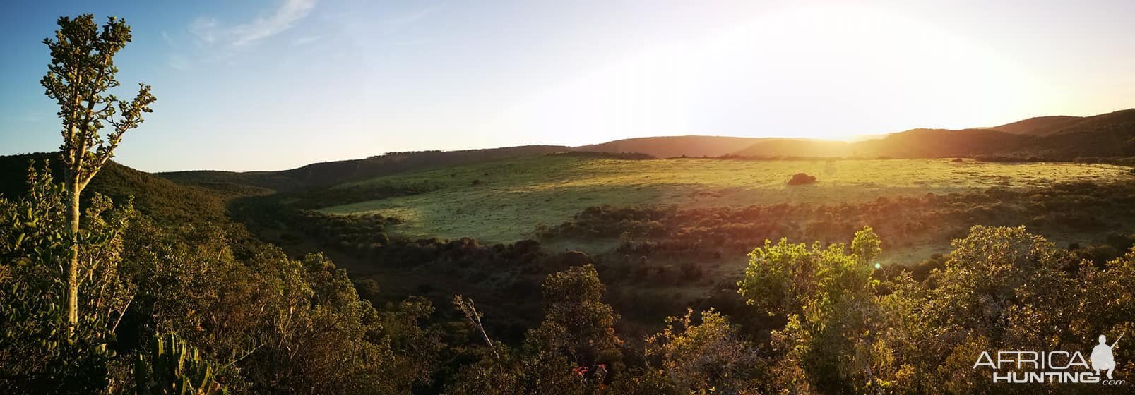 South Africa Landscape