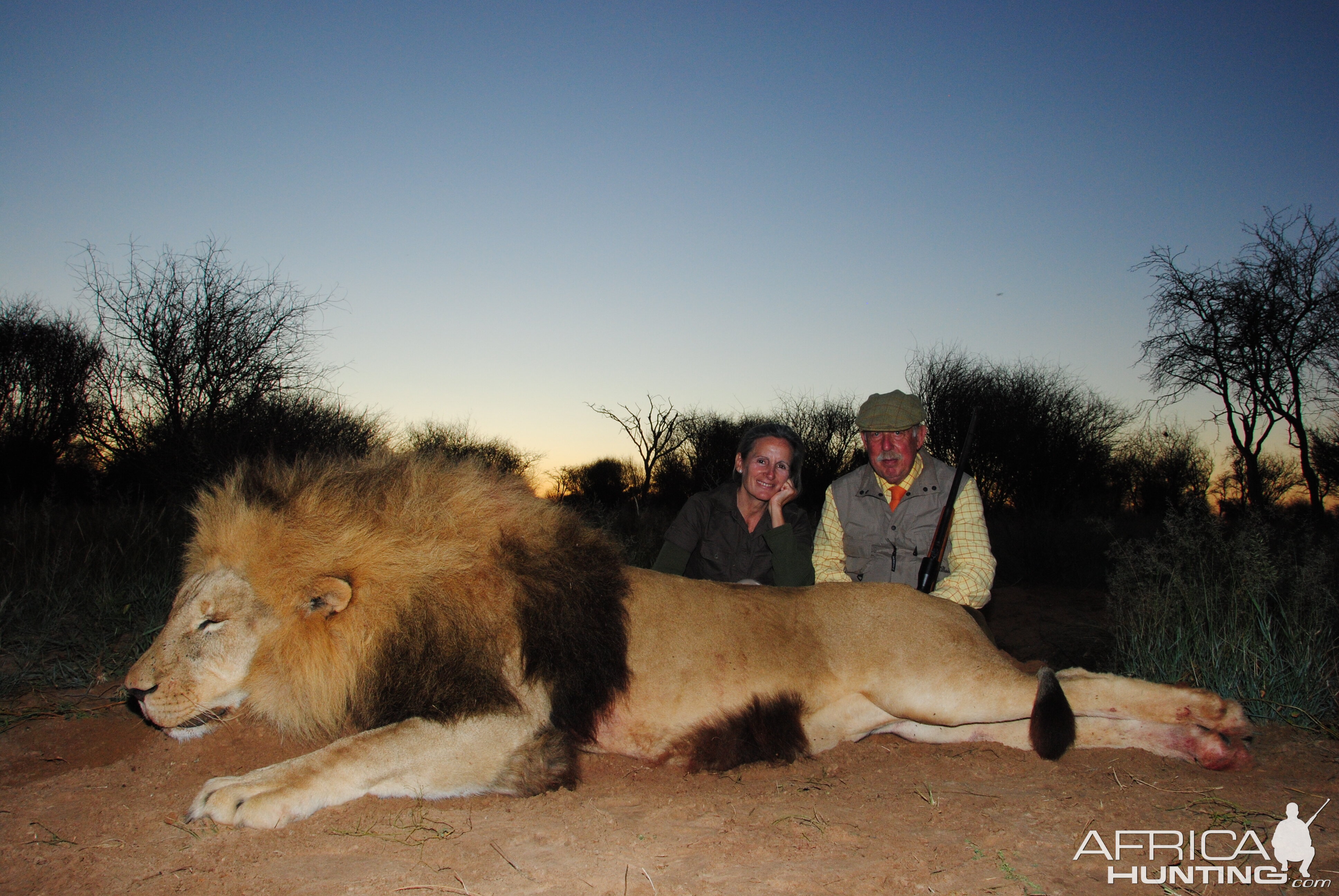 South Africa Lion Hunt | AfricaHunting.com