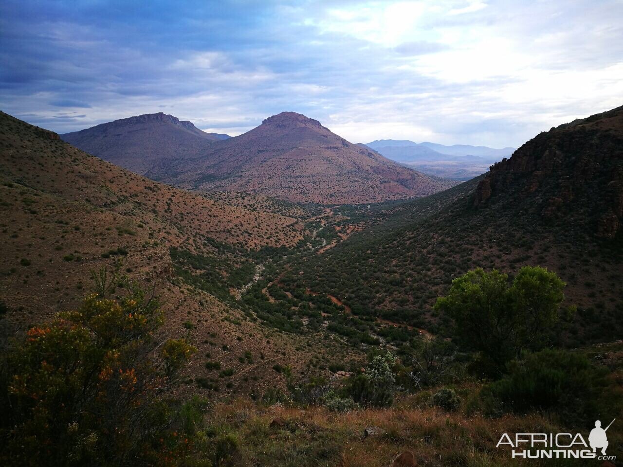 South Africa Nature