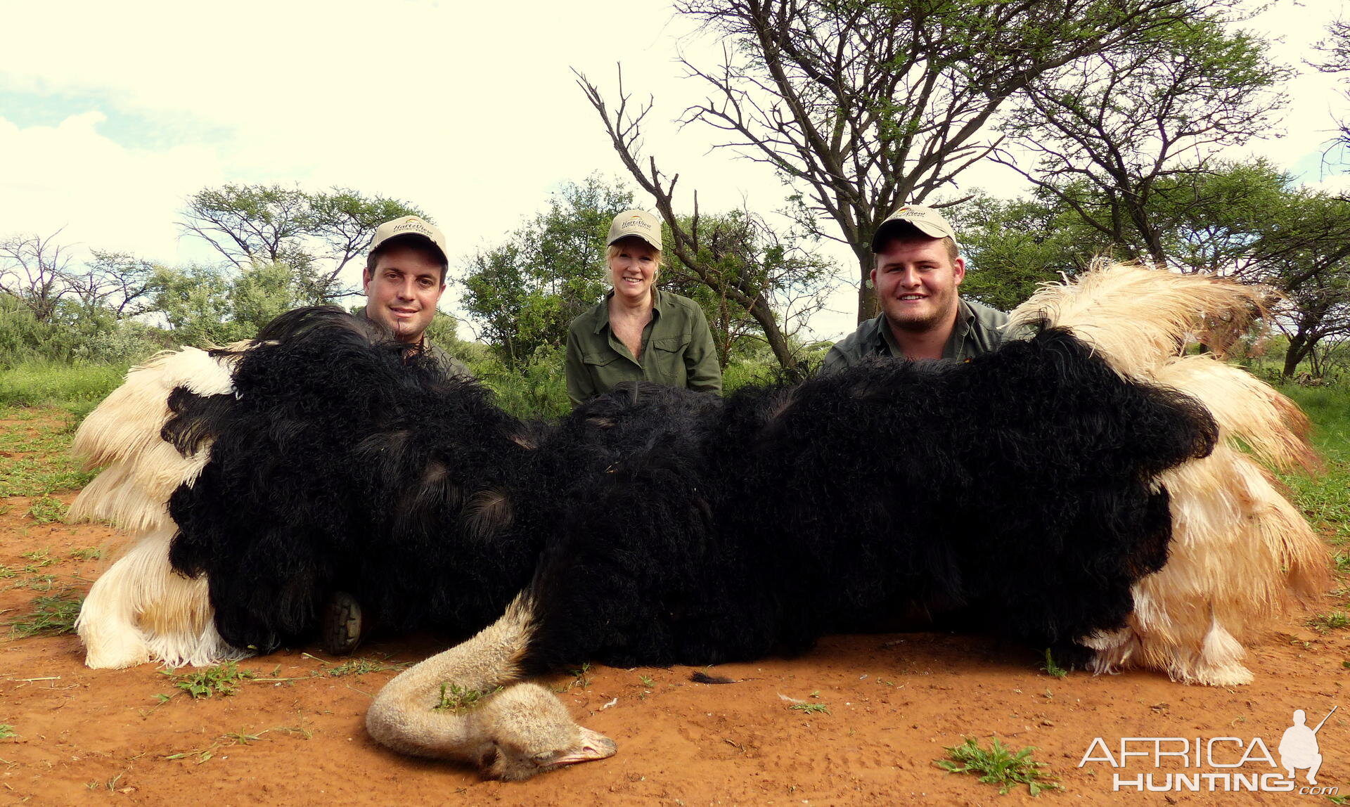 South Africa Ostrich Hunt