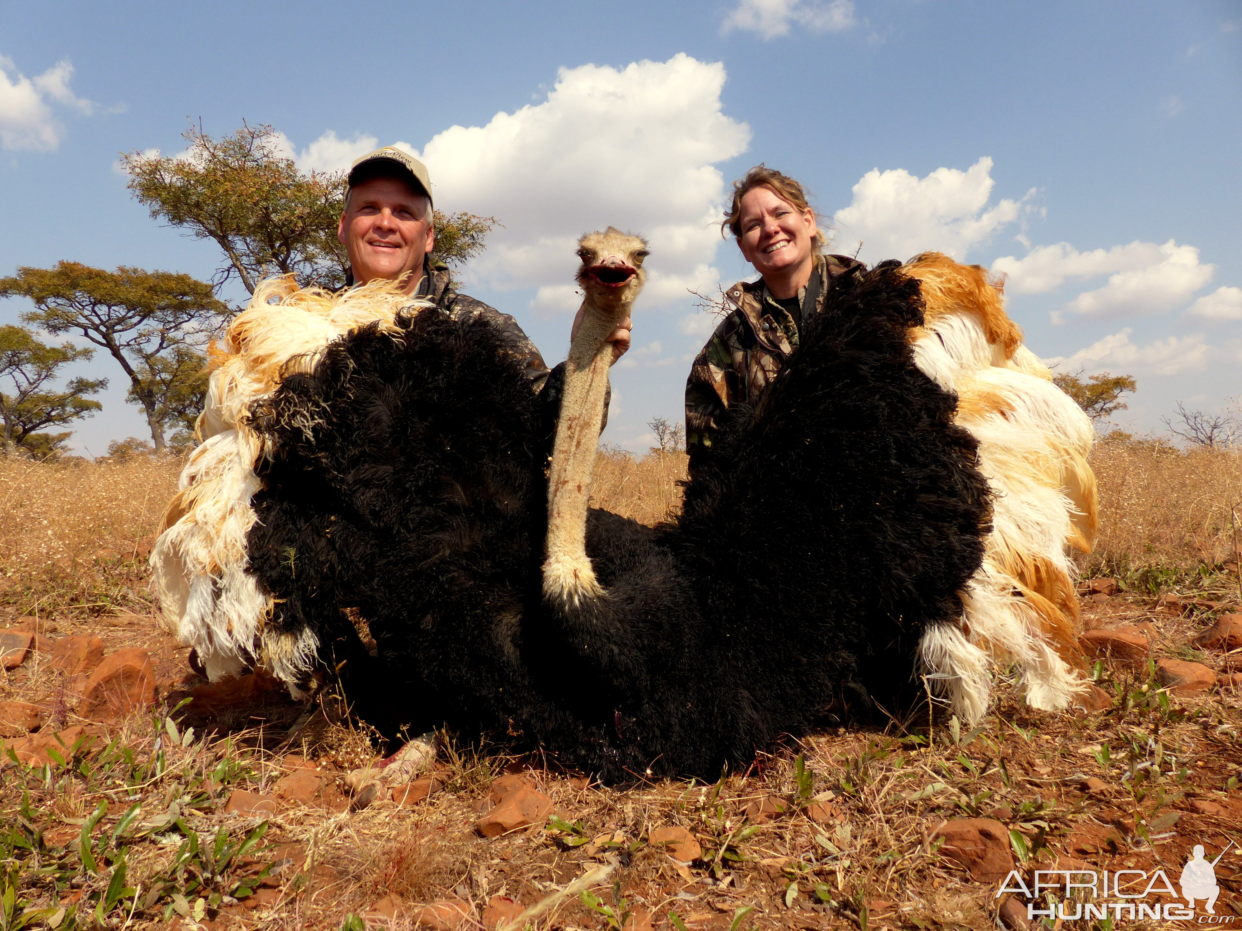 South Africa Ostrich Hunt