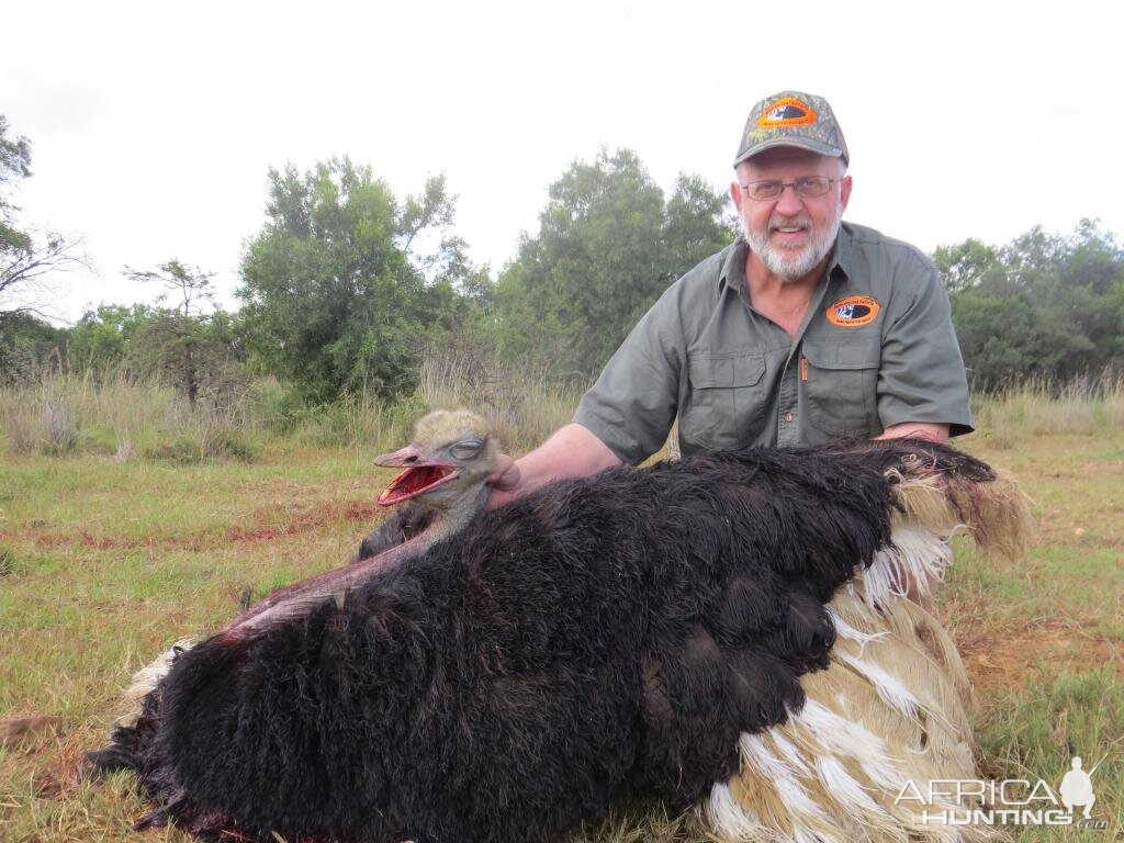 South Africa Ostrich Hunt