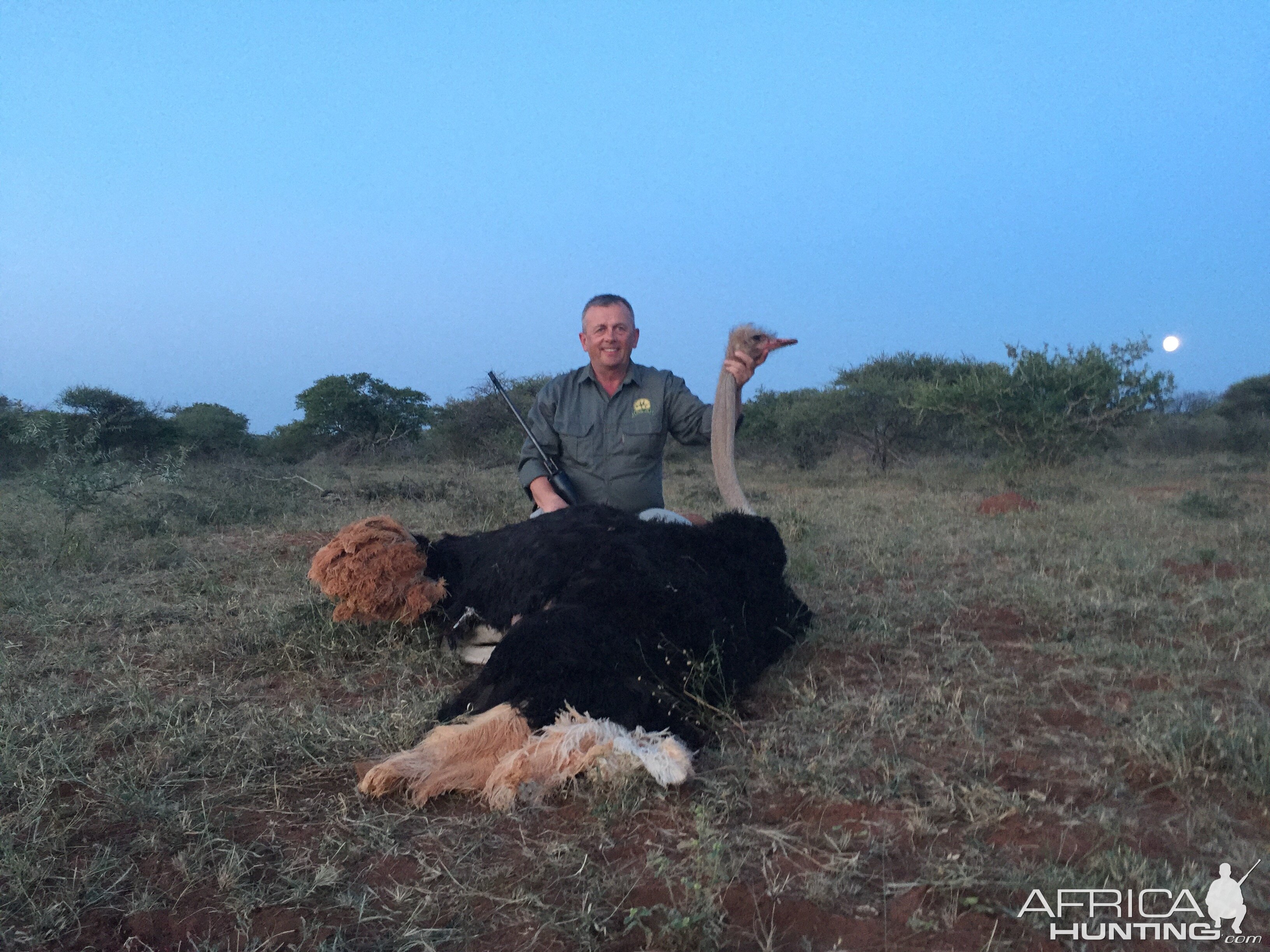 South Africa Ostrich Hunt