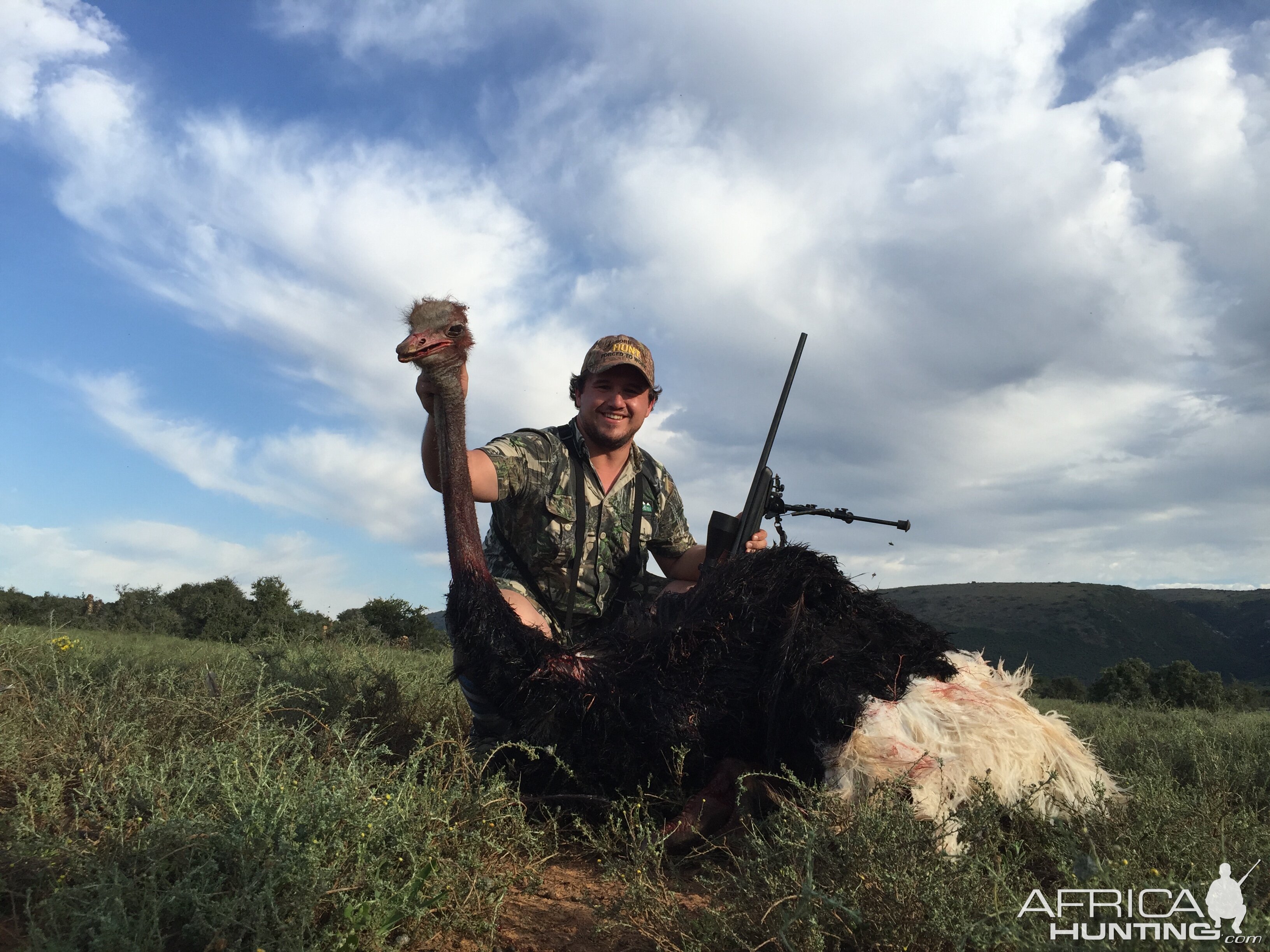 South Africa Ostrich Hunt