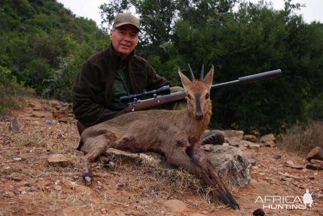 South Africa Red Duiker Hunt